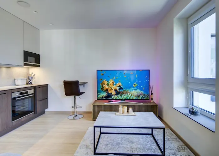 Center Deluxe アパート カウナス